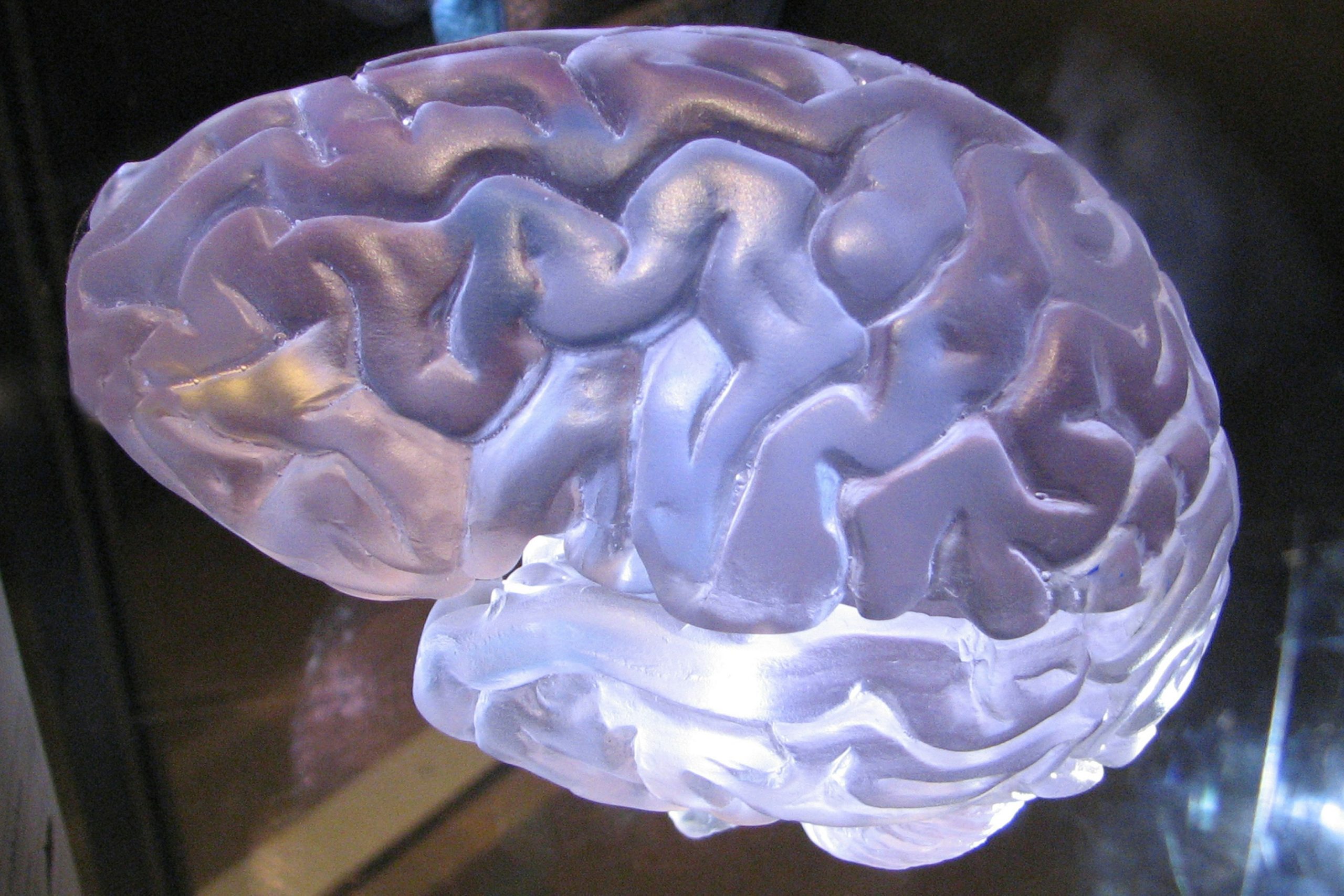 brain training exercises