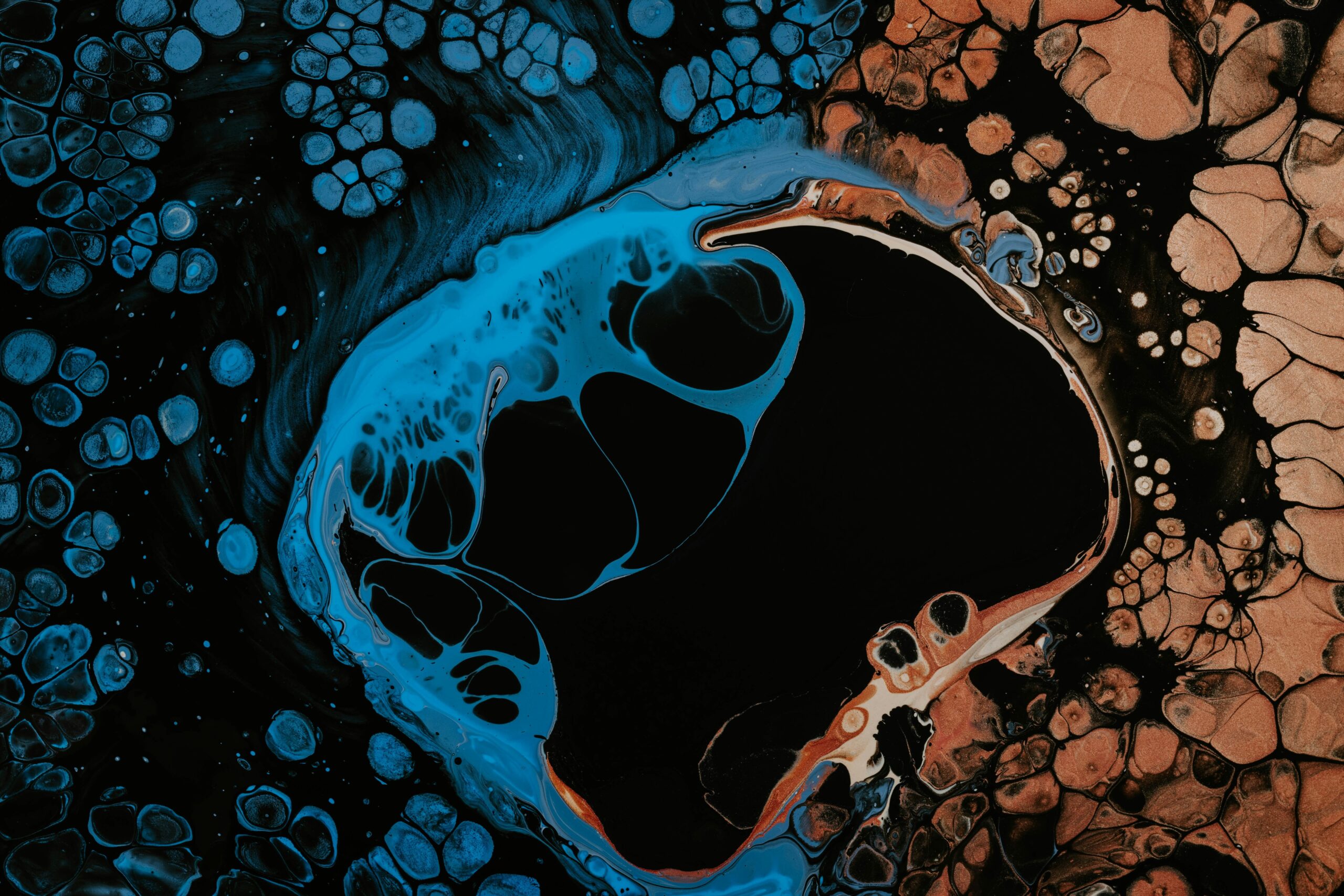 Illustration showing the ADHD brain versus a neurotypical brain