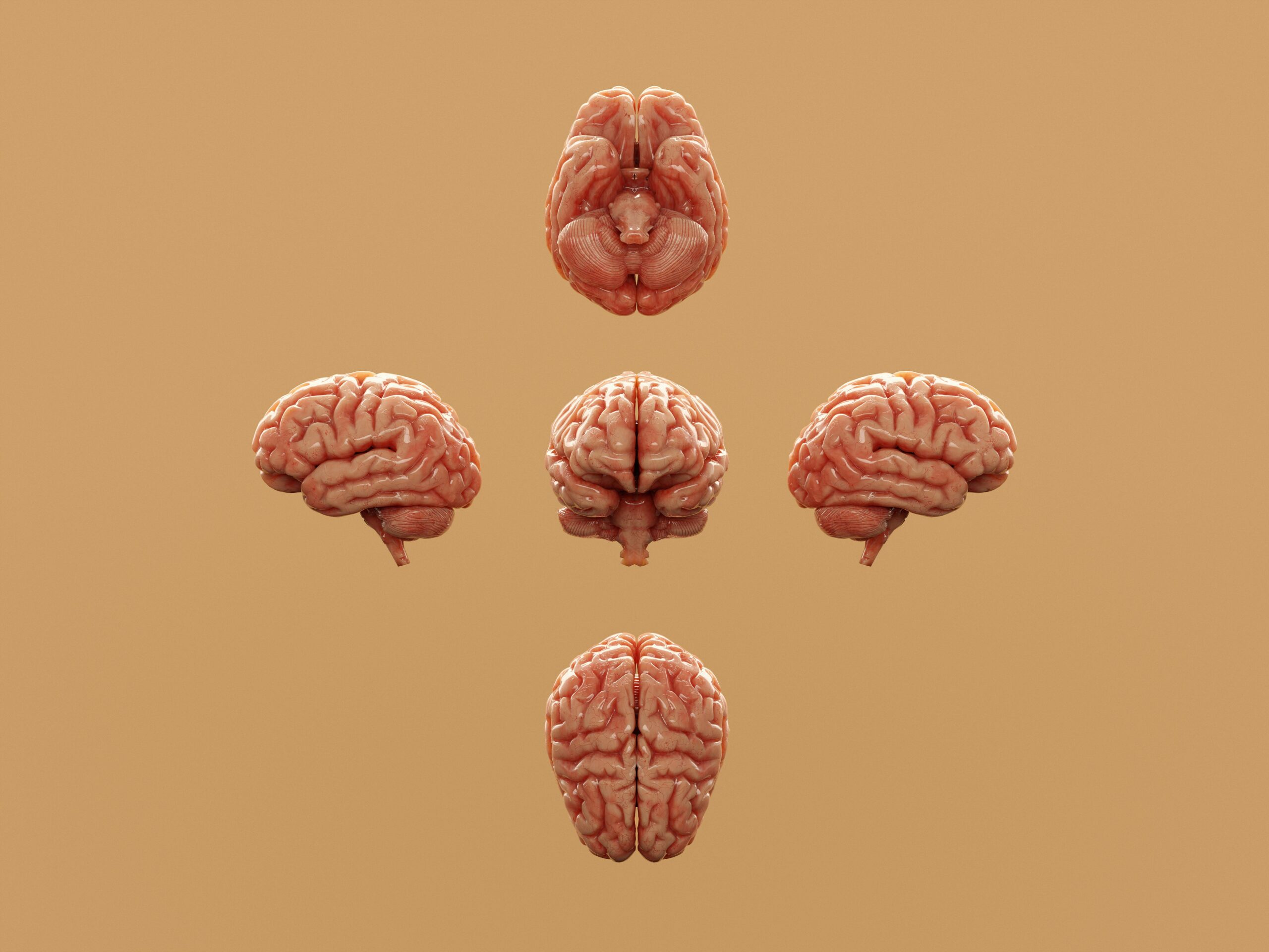 Screenshot comparing free trials of three popular ADHD apps
