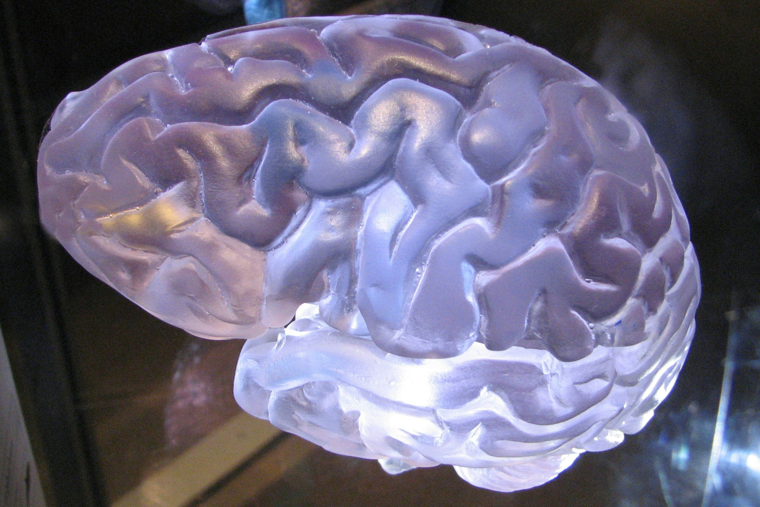Unlock Your Potential: The Ultimate Guide to Finding the Best Brain ADHD Tool